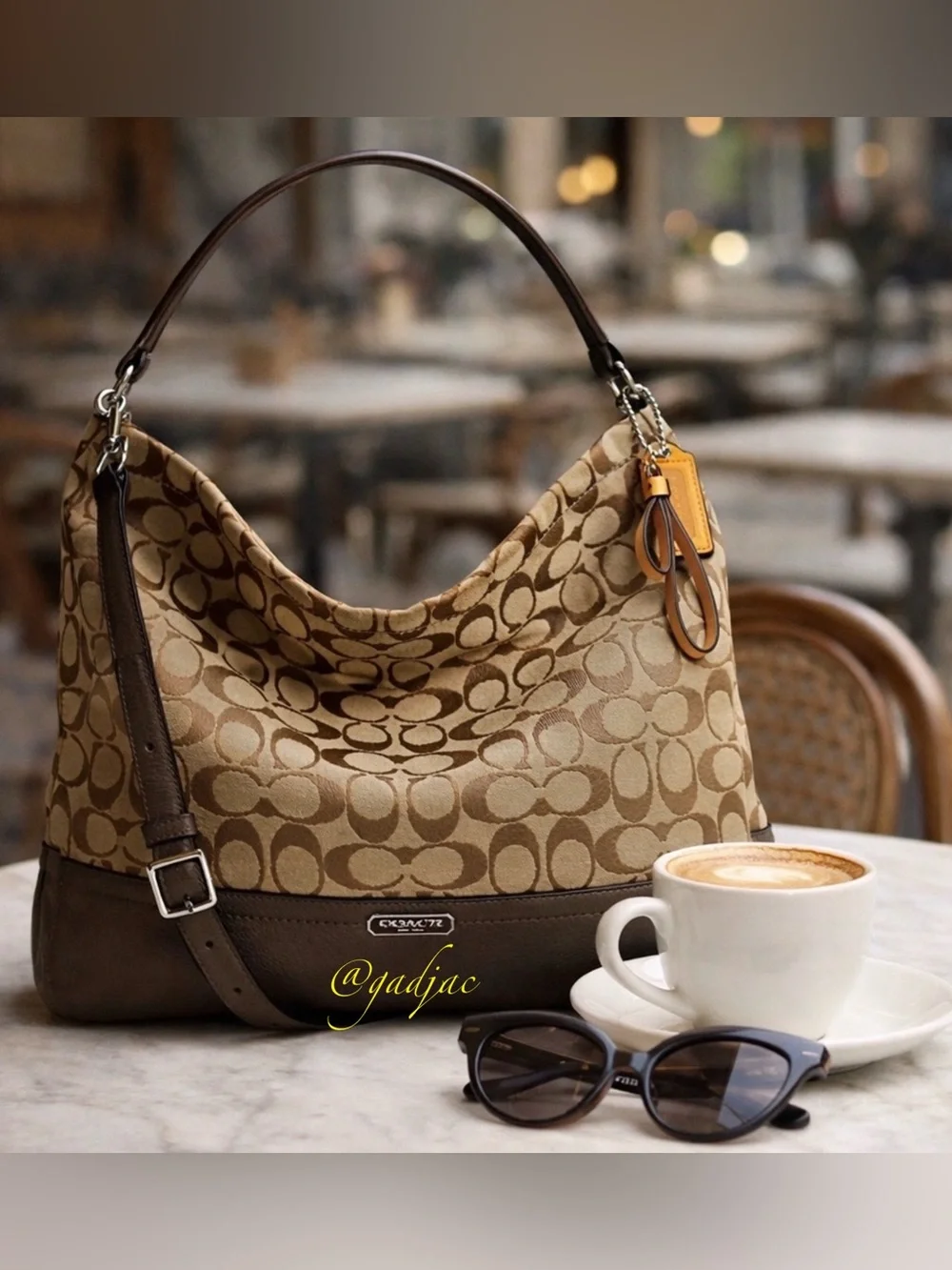 Coach PARK Signature Hobo | Style F23279